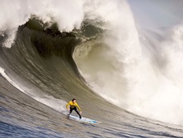 b体育官网在线登录