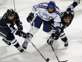 体育综合课是什么课?