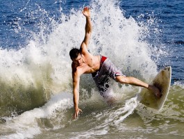 体育官网手机登录